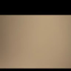 Meet your Posher, Leo